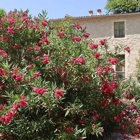 וילה Chateau De Liviere קאלביסון