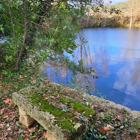 Chateau De Liviere קאלביסון