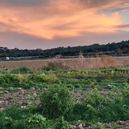 וילה Chateau De Liviere קאלביסון